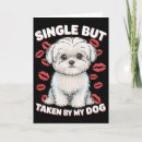 Search for funny dog valentines day cards Romance