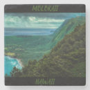 Search for hawaii coasters Mountain