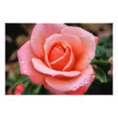 Recherche de romantiques art Anniversaire