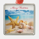 Recherche de coquillages ornements De