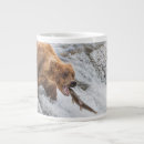 Search for big brown bear mugs Carnivora