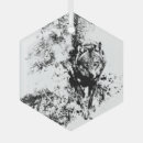 Recherche de solitaire ornements Loup