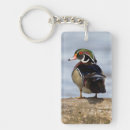 Search for wetlands keychains Superstock