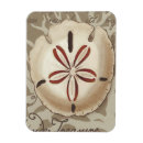 Search for sonnets magnets Seashells