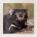 Recherche de une canine puzzles Sauvage