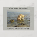 Recherche de chien idiot cartes postales Récupérateur
