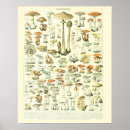 Recherche de millot posters Vintage