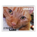 Search for 12 month calendars Cat
