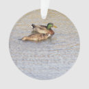 Recherche de ducks ornements Pour tous