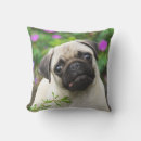 Recherche de fauve coussins Chien