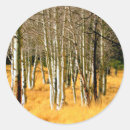 Search for aspen tree stickers Forest