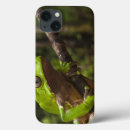 Search for smart frog Amphibian