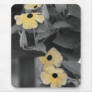 Recherche de vigne tapis souris Jardin