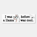 Search for meme bumper stickers Cute