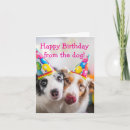 Search for from the pet cards Dog mom