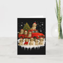 Search for shih tzu christmas cards Santa