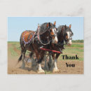 Recherche de de cheval trait vœux cartes Agriculture