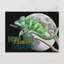 Recherche de caméléons cartes postales Animal