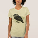 Search for jackdaws Cute