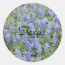 Search for bluebonnet stickers Farm