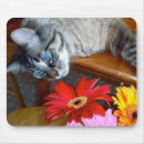 Search for bliss mousepads Blue