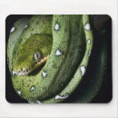 Search for amazon mousepads Animal