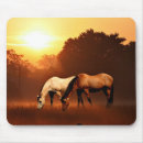 Search for morning mist mousepads Sunrise