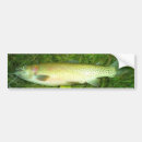 Search for fly fishing bumper stickers Trout