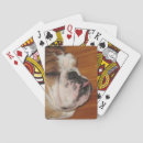 Recherche de anglais jeux de cartes Bulldog
