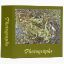 Search for beach postage Coastal