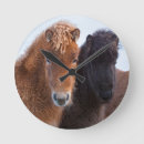Recherche de colt horloges Animal