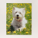 Search for westie puzzles Puppy