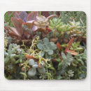 Search for mauve electronics Green