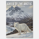 Search for arctic animals magnets Fox