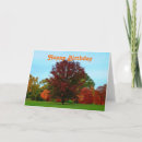 Search for autumn tree Birthday