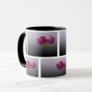 Recherche de jardin tulipe tasses Fleurs de printemps