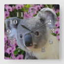 Recherche de orchidée sauvage horloges Ours