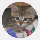 Search for worm stickers Cat