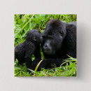 Search for mountain gorilla buttons Rainforest
