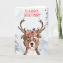 Search for bull terrier christmas cards Dog lover