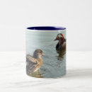 Search for two ducks mugs Photography