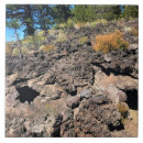 Recherche de forest carreaux Nature