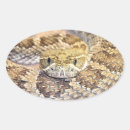 Search for rattlesnake stickers Rattler