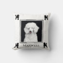 Recherche de caniche noir coussins Noir et blanc