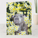 Search for staffordshire bull terrier cards Animal