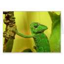 Recherche de caméléon Changement