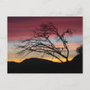 Search for save a tree postcards Outdoors