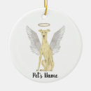 Search for greyhound memorial Rainbow bridge