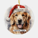 Recherche de golden retriever ornaments Nom
