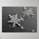 Search for snow flake posters Ice